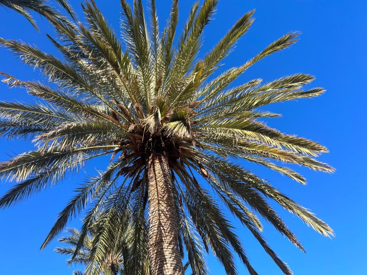 Fincasol San Sebastián de la Gomera المظهر الخارجي الصورة
